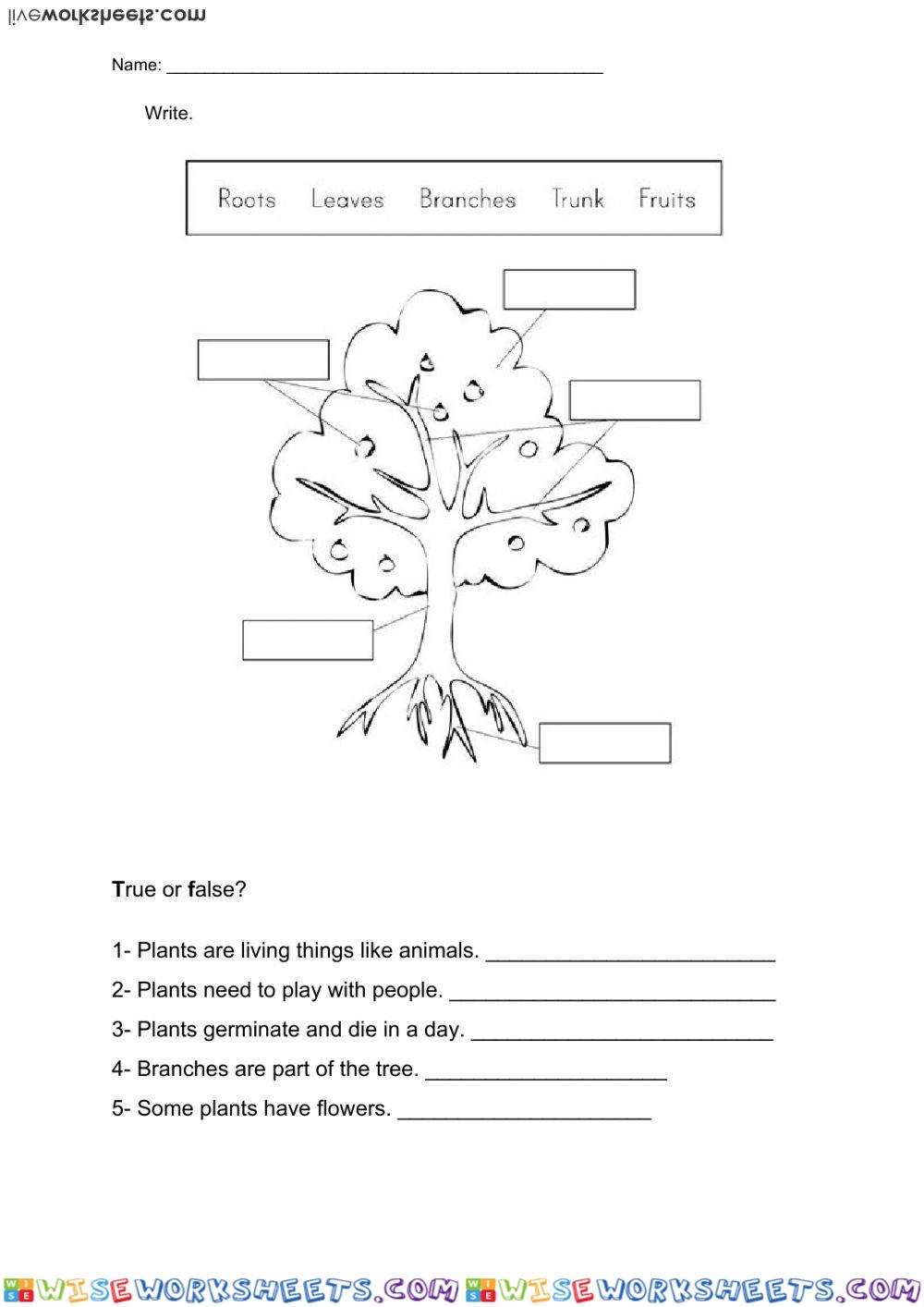 worksheet