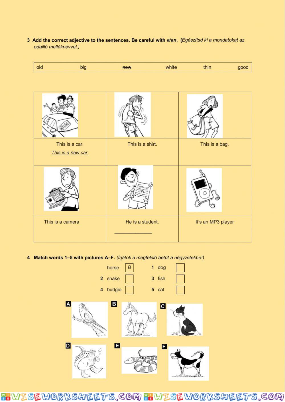 worksheet