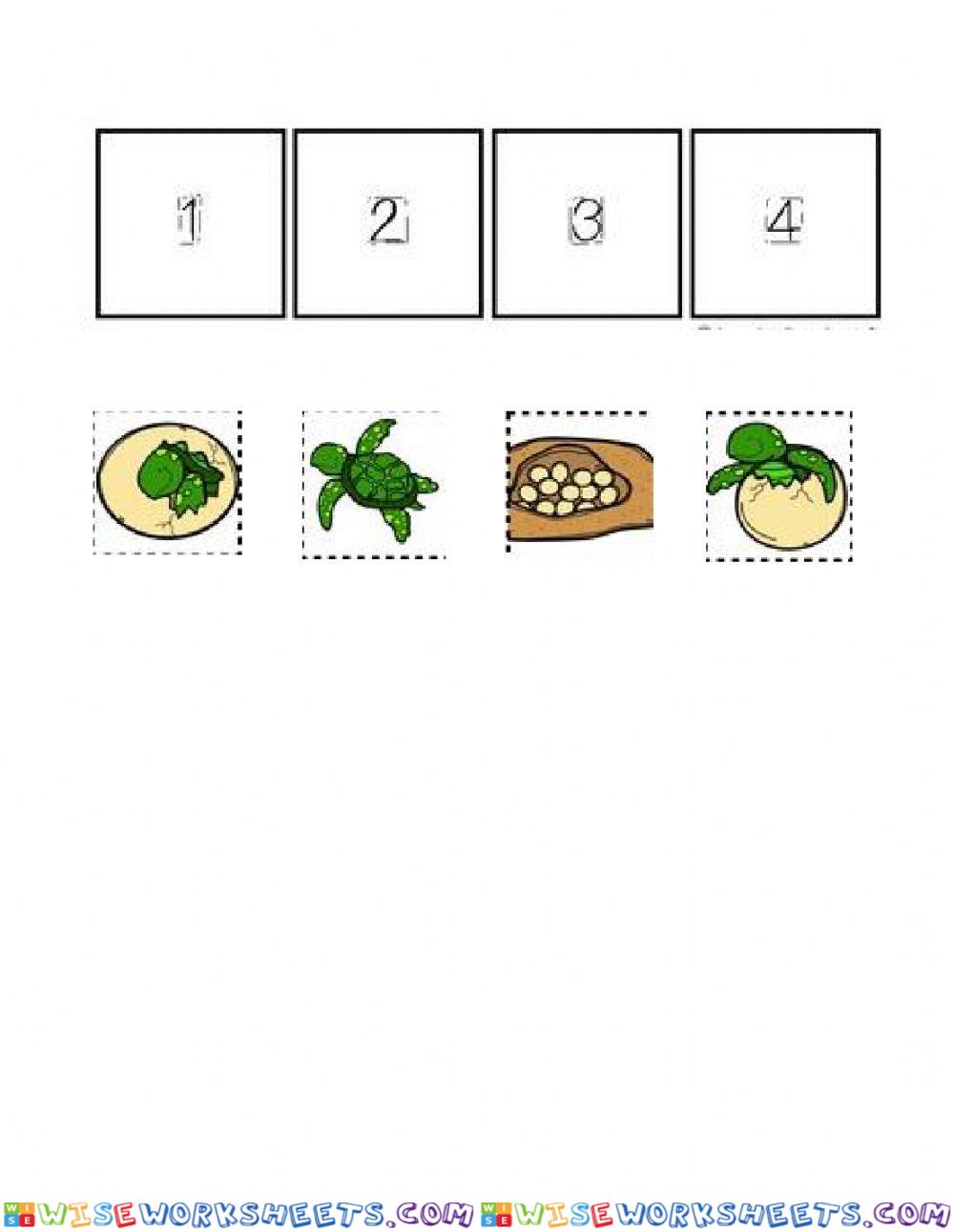 worksheet