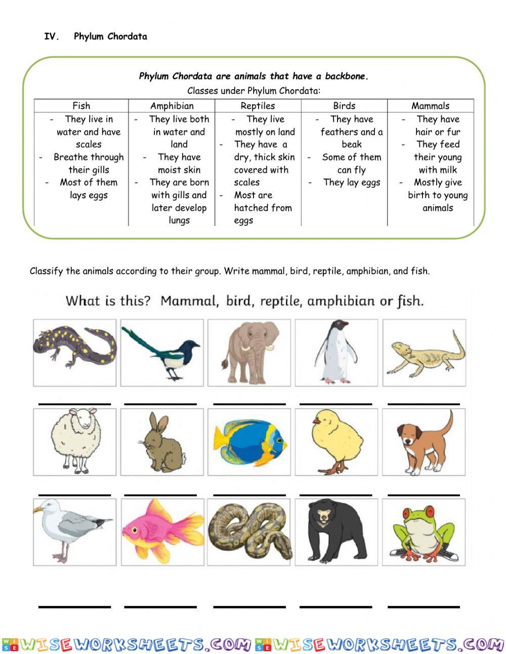 worksheet