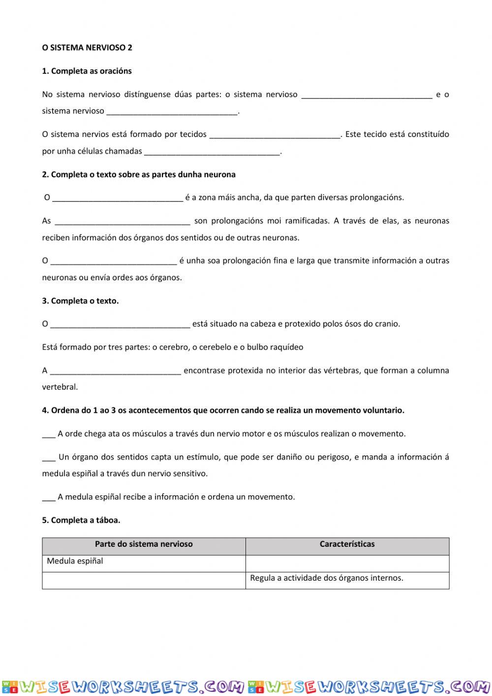 Sistema Nervioso