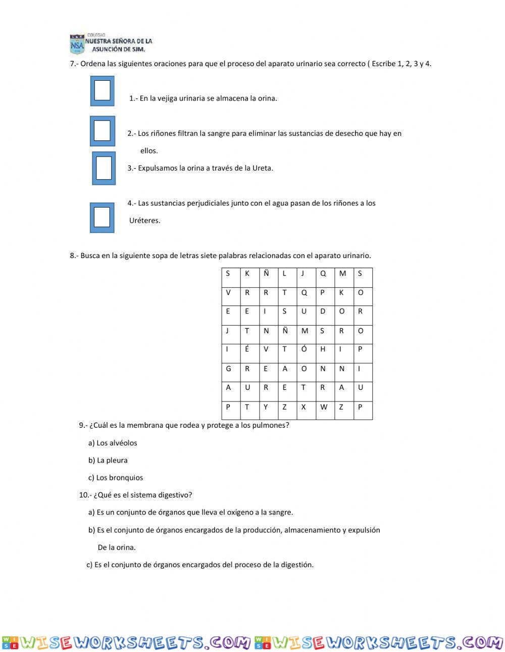 worksheet