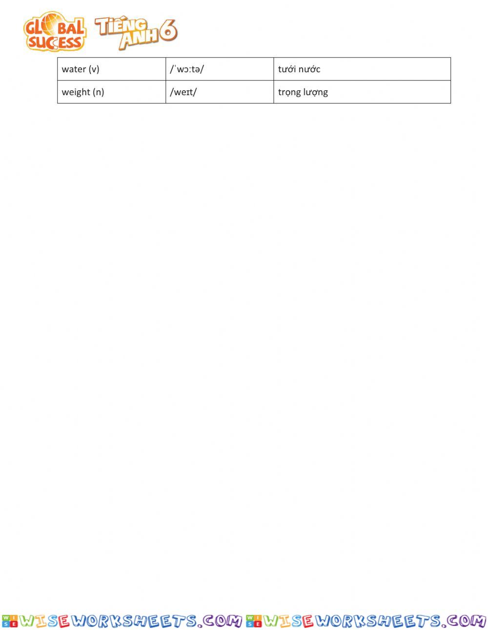 worksheet