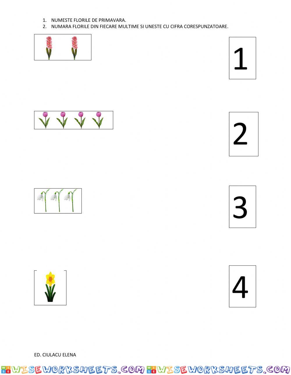 Fisa matematica