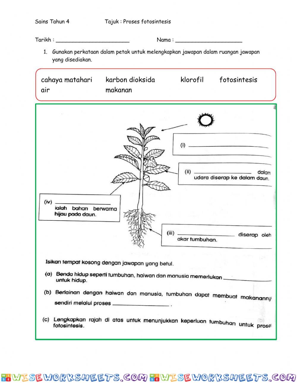 Sains hayat