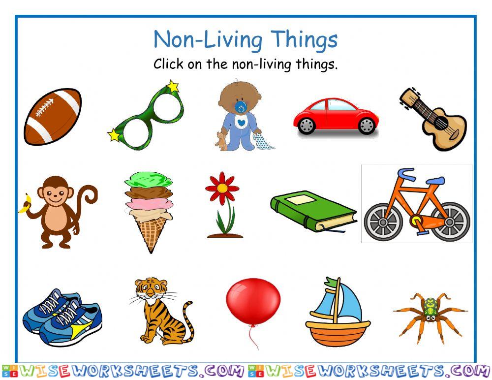 Non-Living Things DJ
