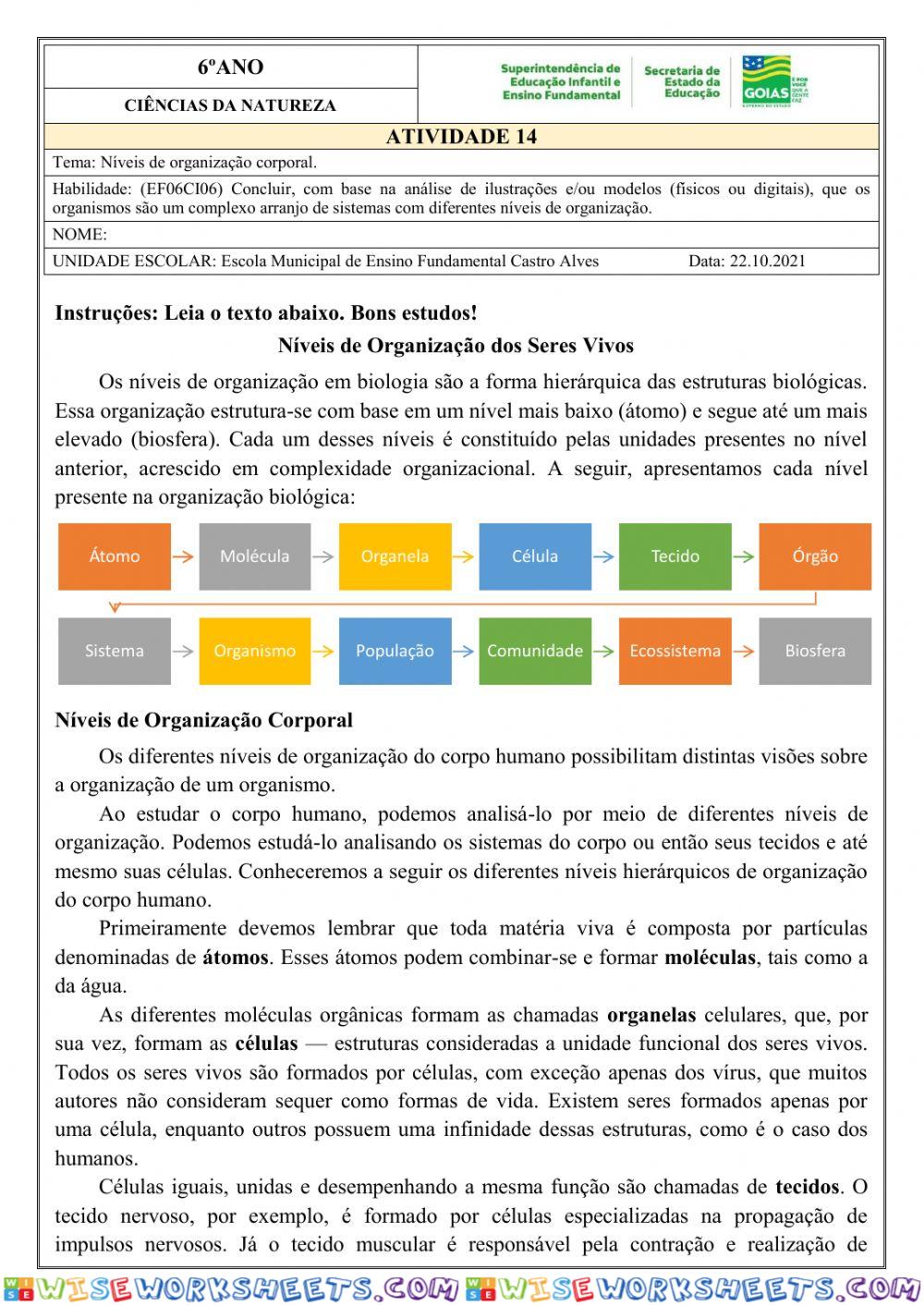 6º anoAtividade de ciências dia 22.10