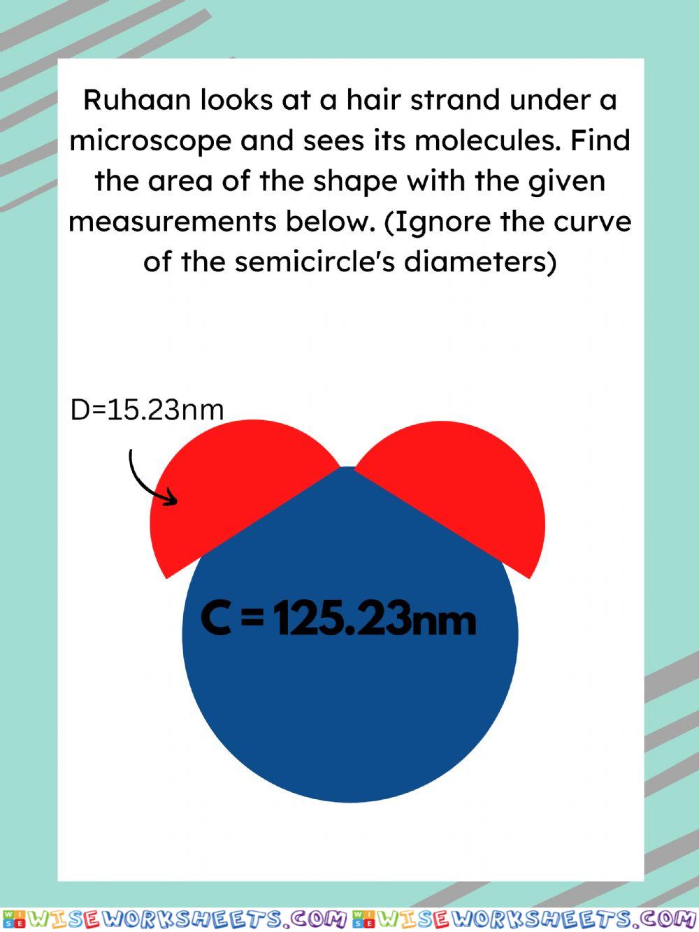 Area and Circumference of a Circle