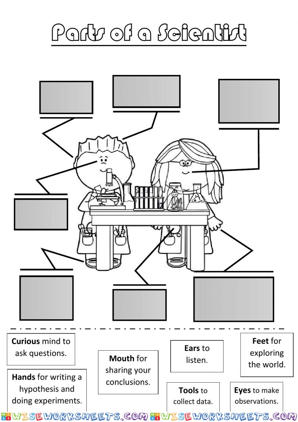 Parts of a Scientist