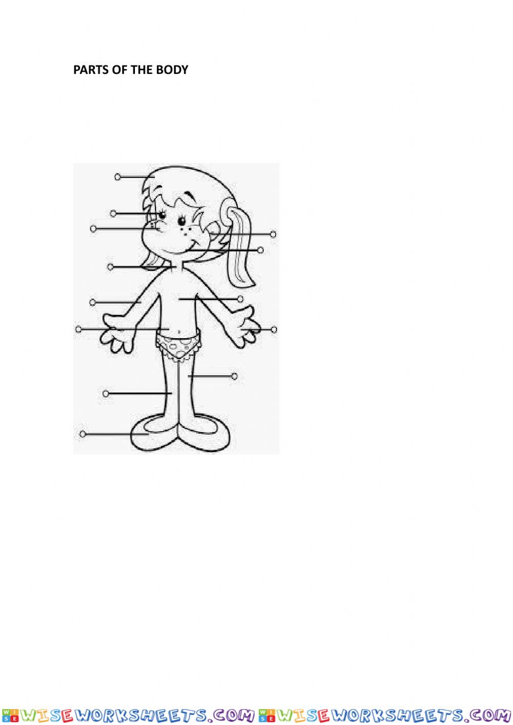 Parts of body options
