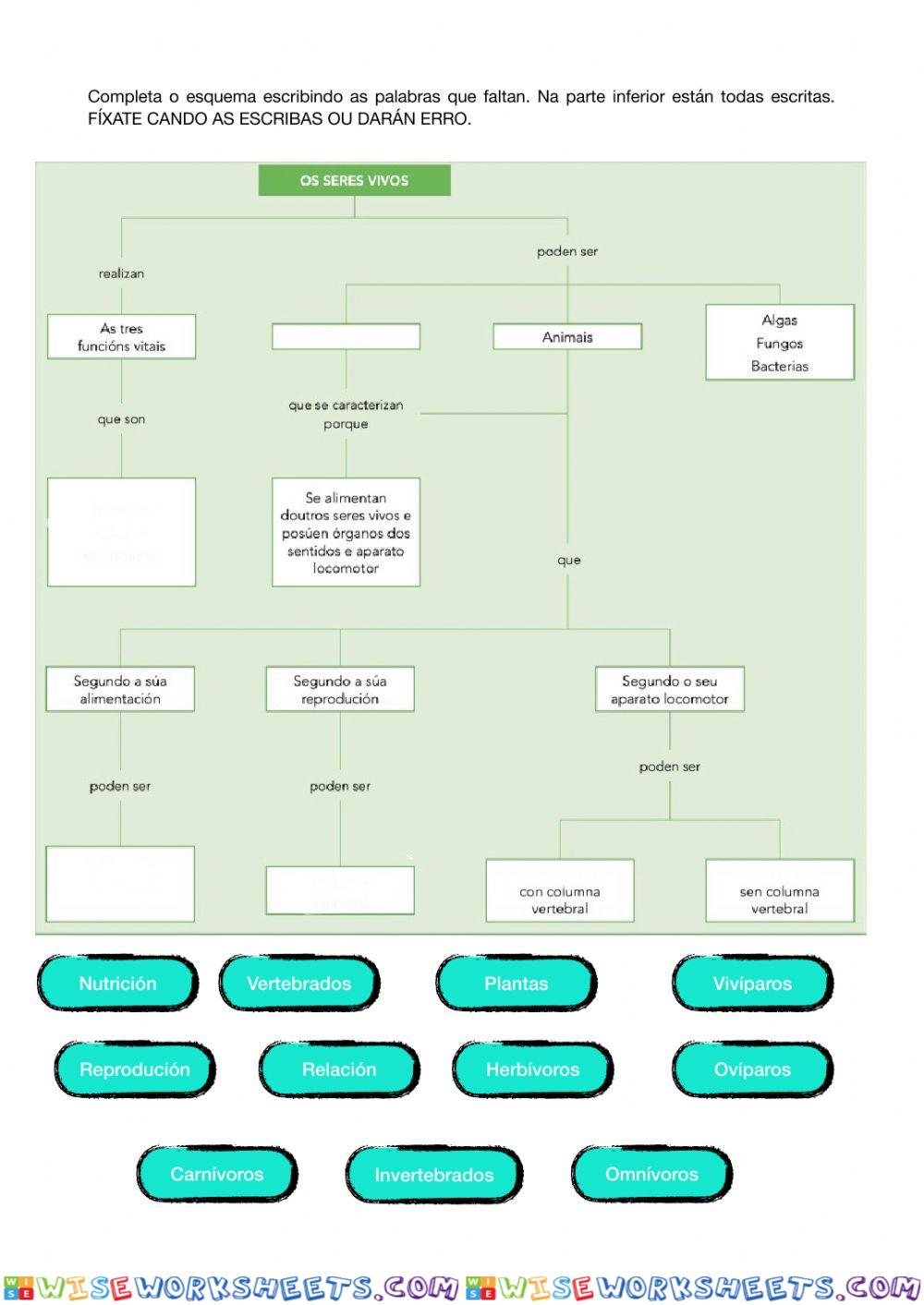 Esquema seres vivos galego