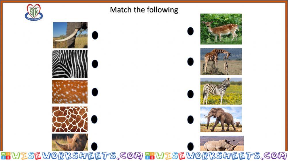 Animals worksheet