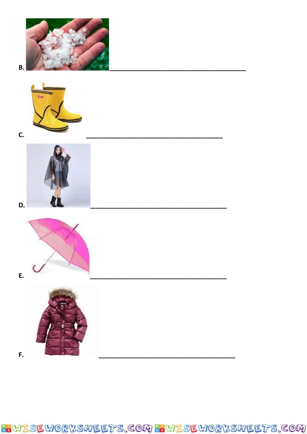 worksheet