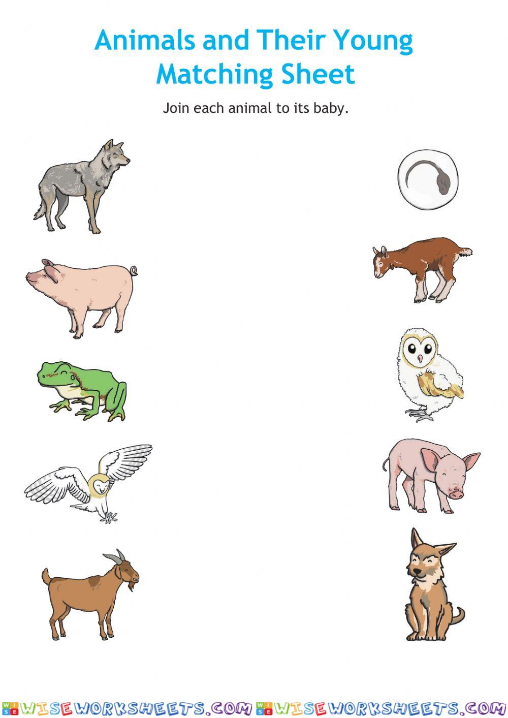 worksheet