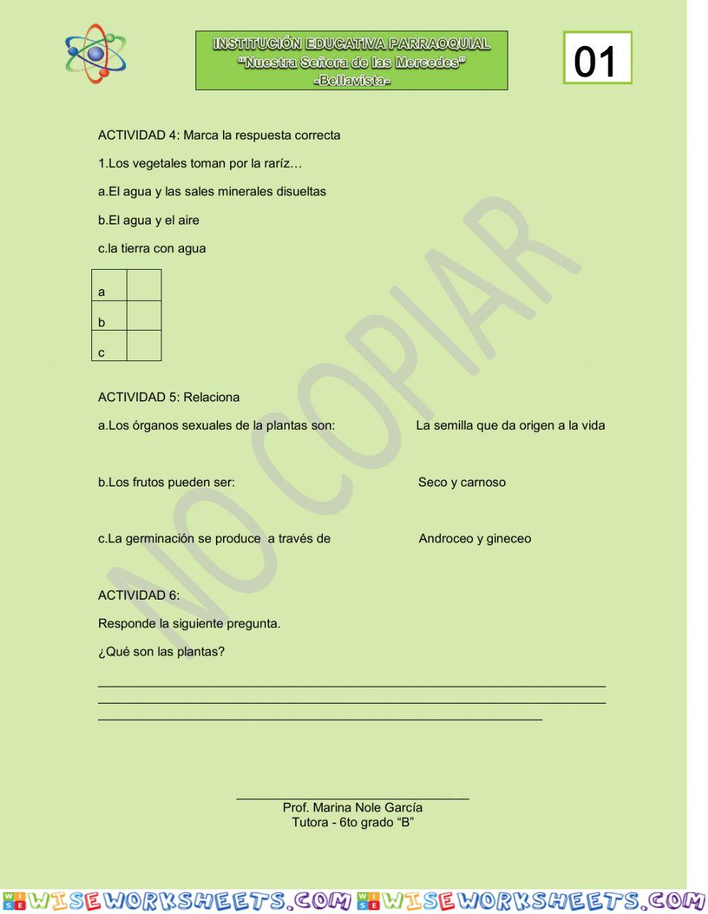 worksheet
