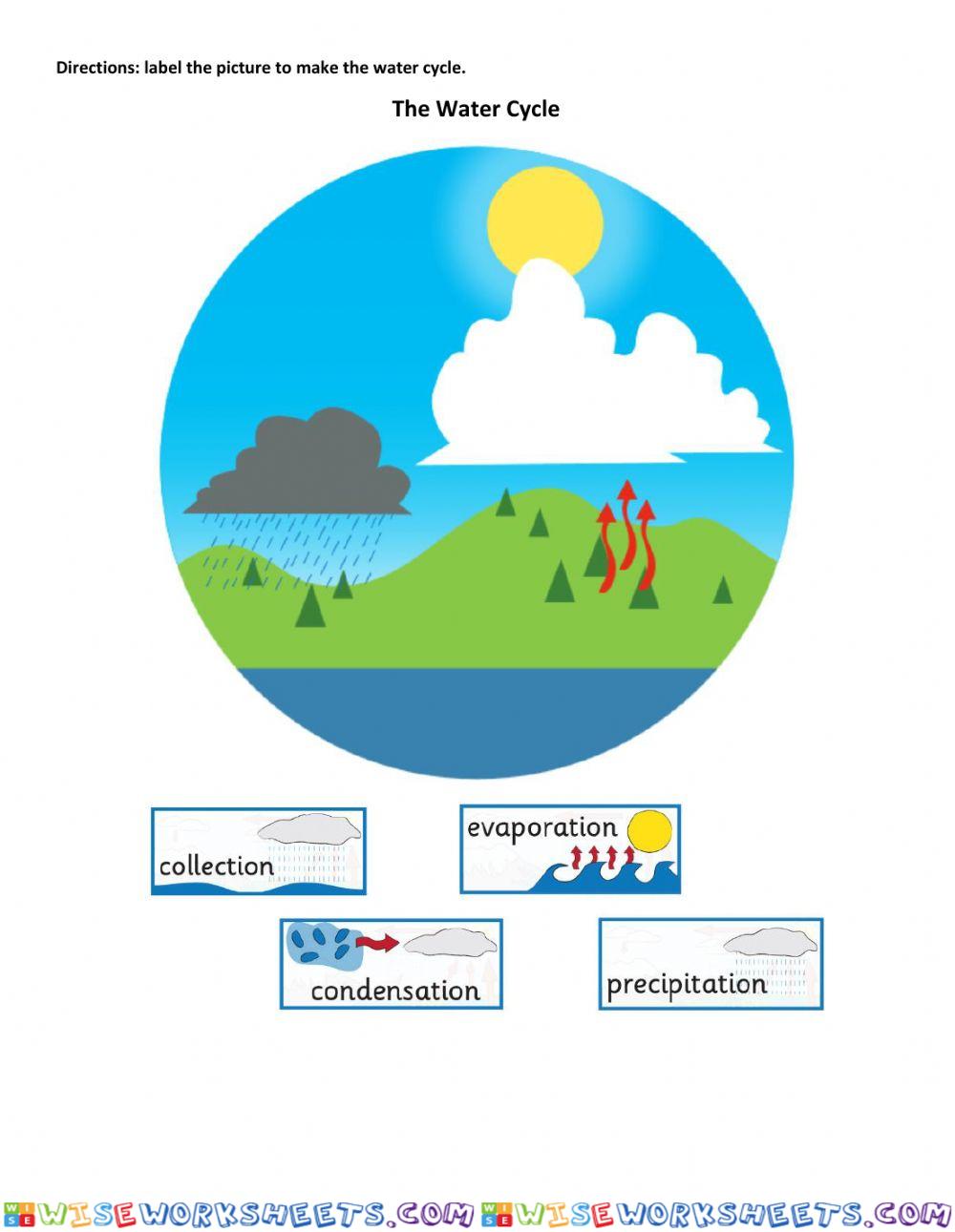 The Water Cycle