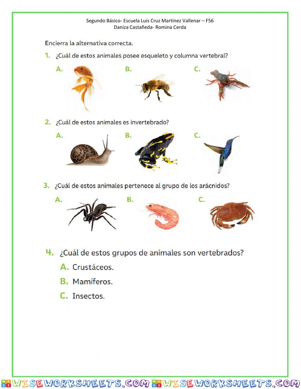 Evaluación Animales Vertebrados e Invertebrados Worksheet Online ...