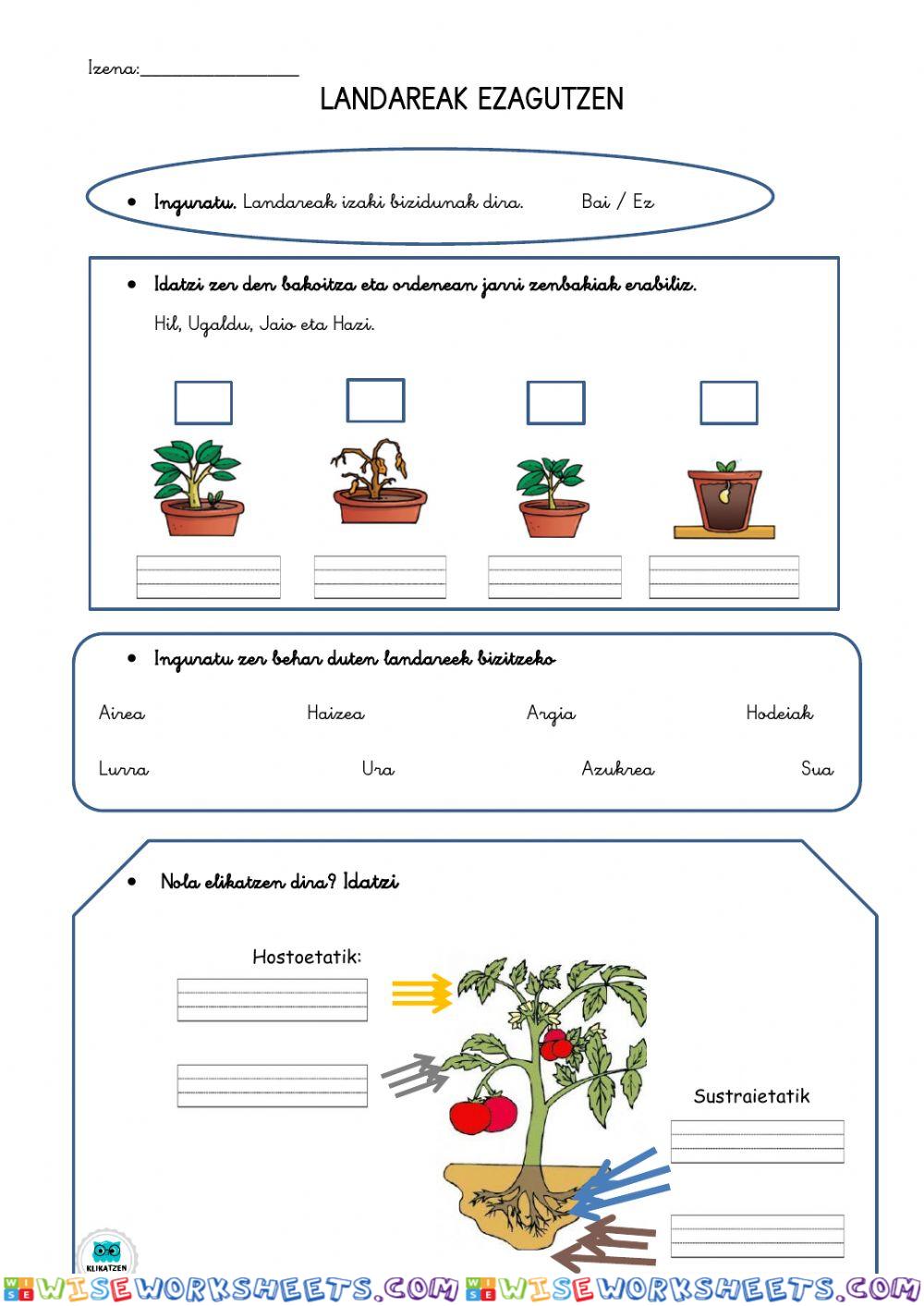 worksheet