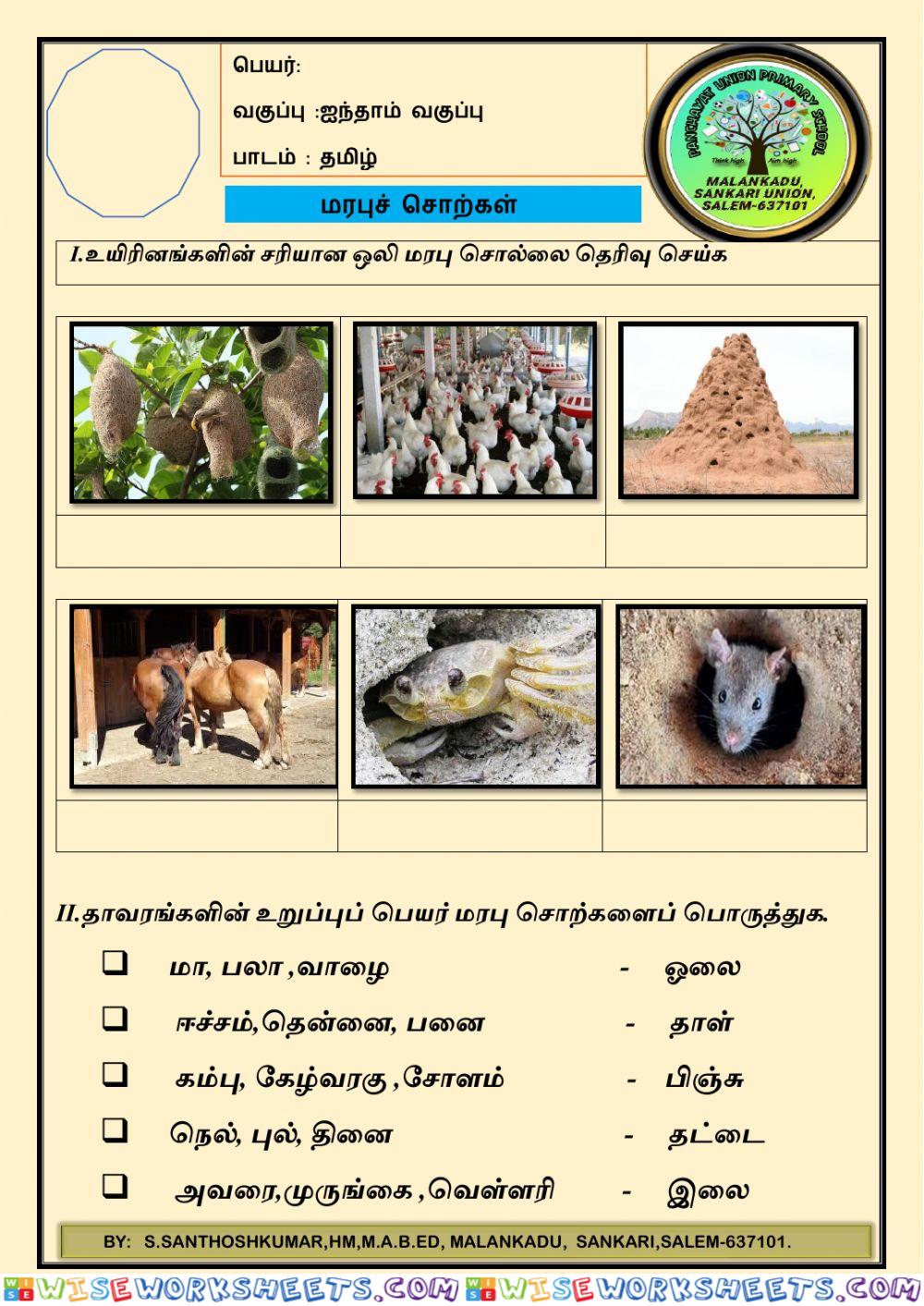 V tamil -quiz -13