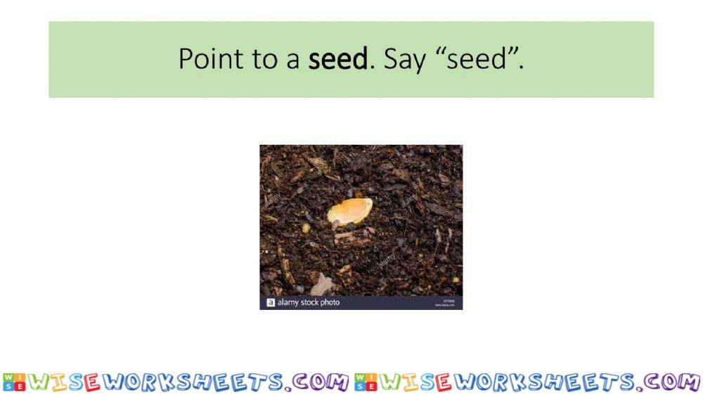 worksheet