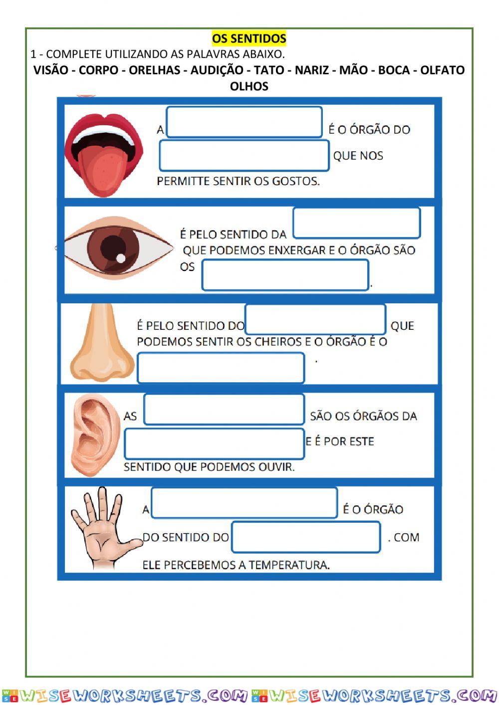 Os sentidos