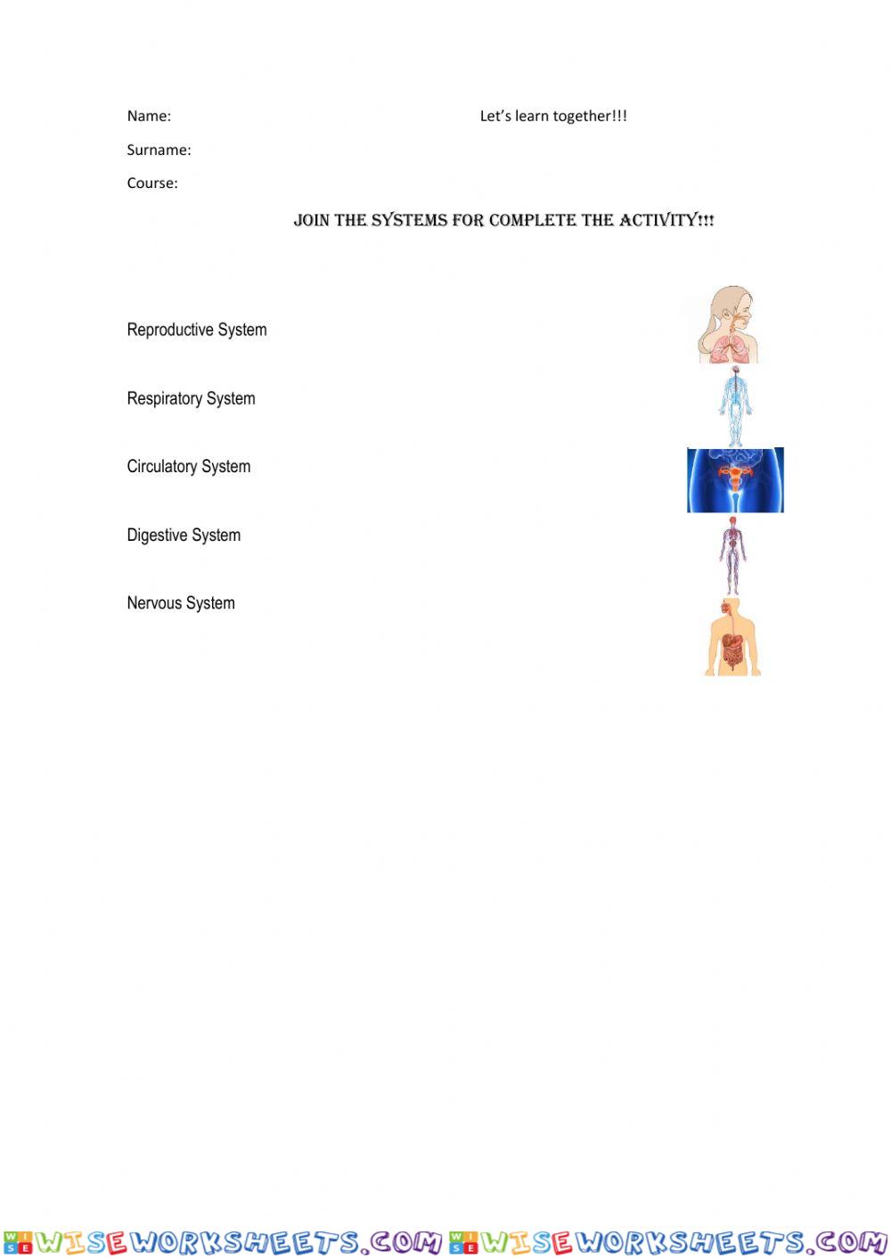 Join the different human systems