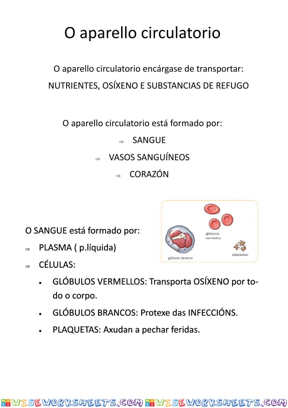 Resumo Aparello Circulatorio