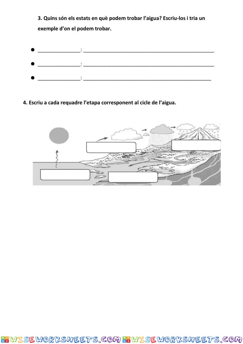 worksheet