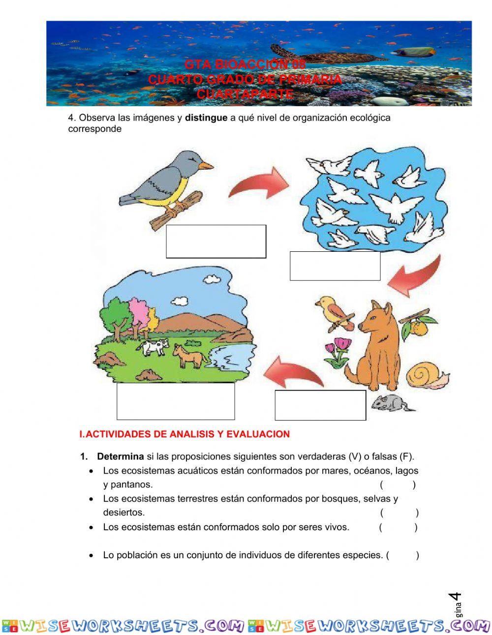 Gta ciencia 8 - cuarta parte