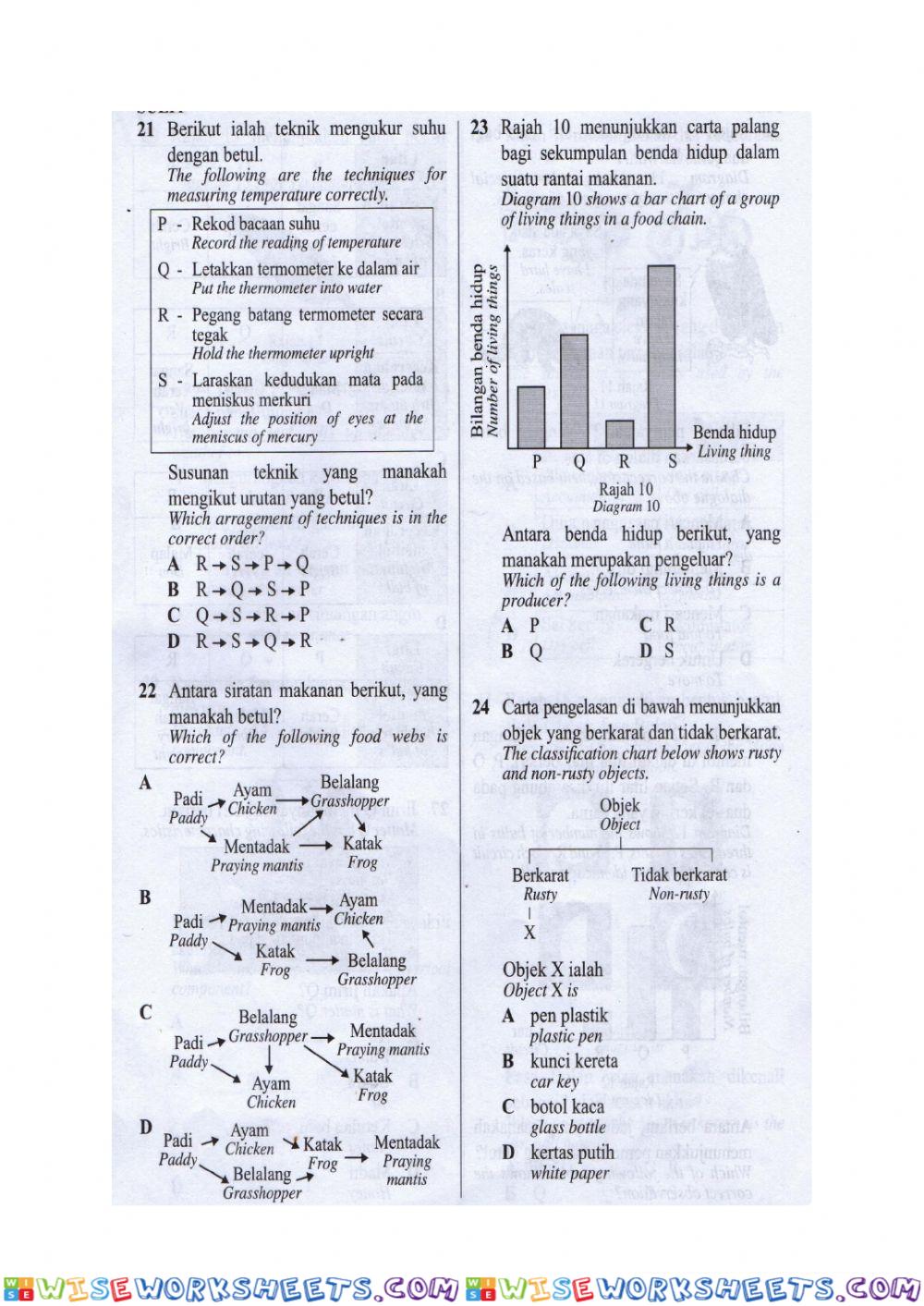 worksheet