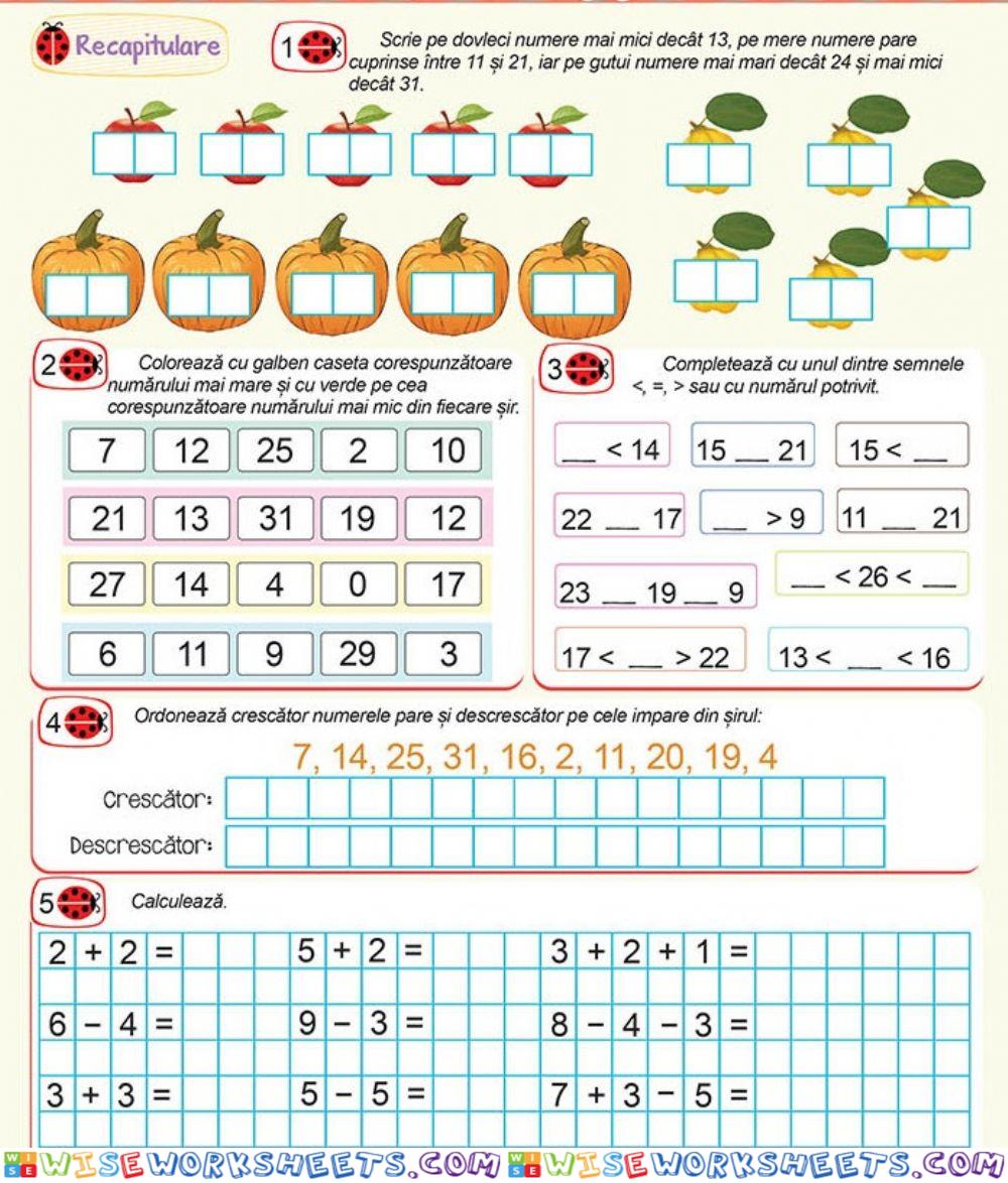 Recapitulare numerelor in concentrul 0-31