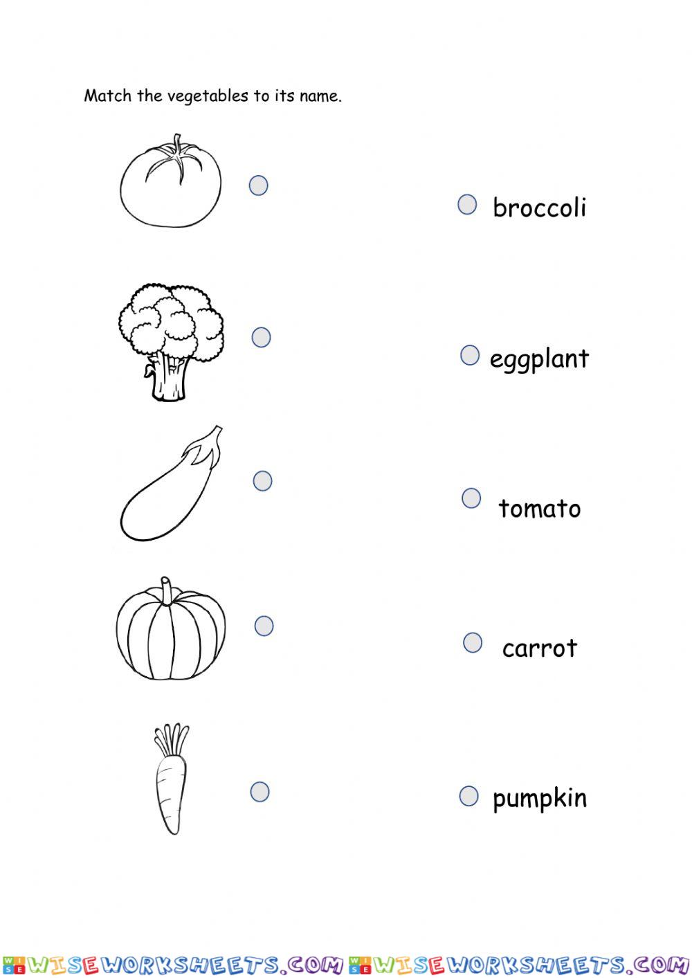 Types of Vegetables