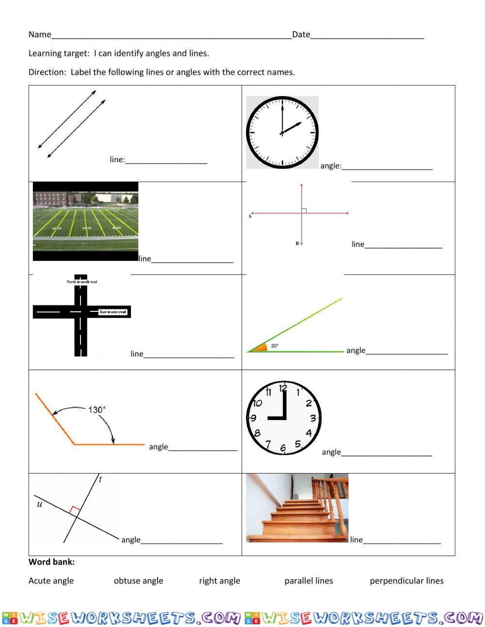 worksheet