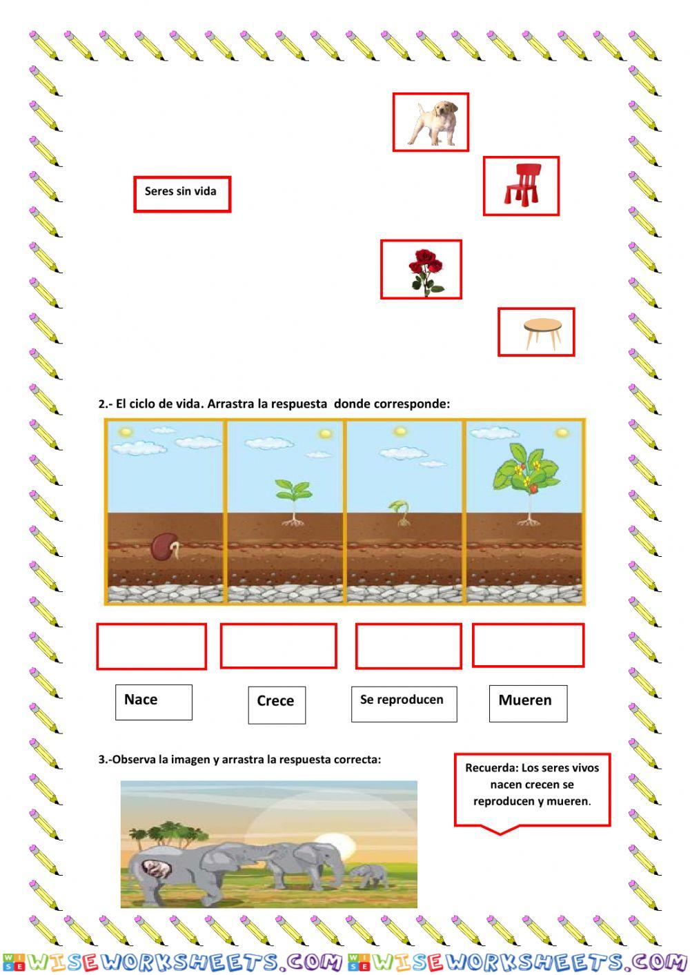 worksheet