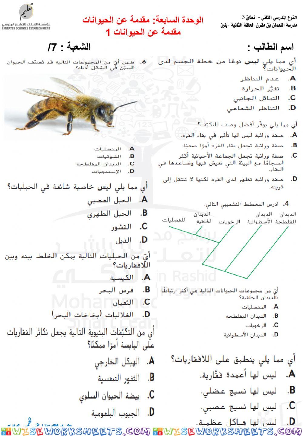 مراجعة وحدة مقدمة عن الحيوانات 1