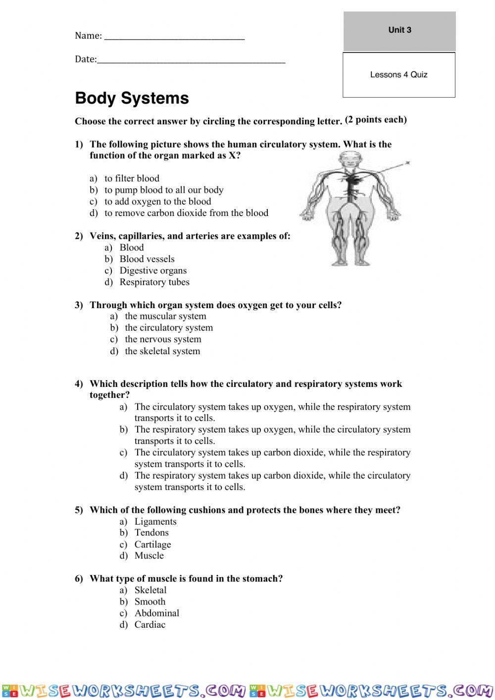 Quiz body systems