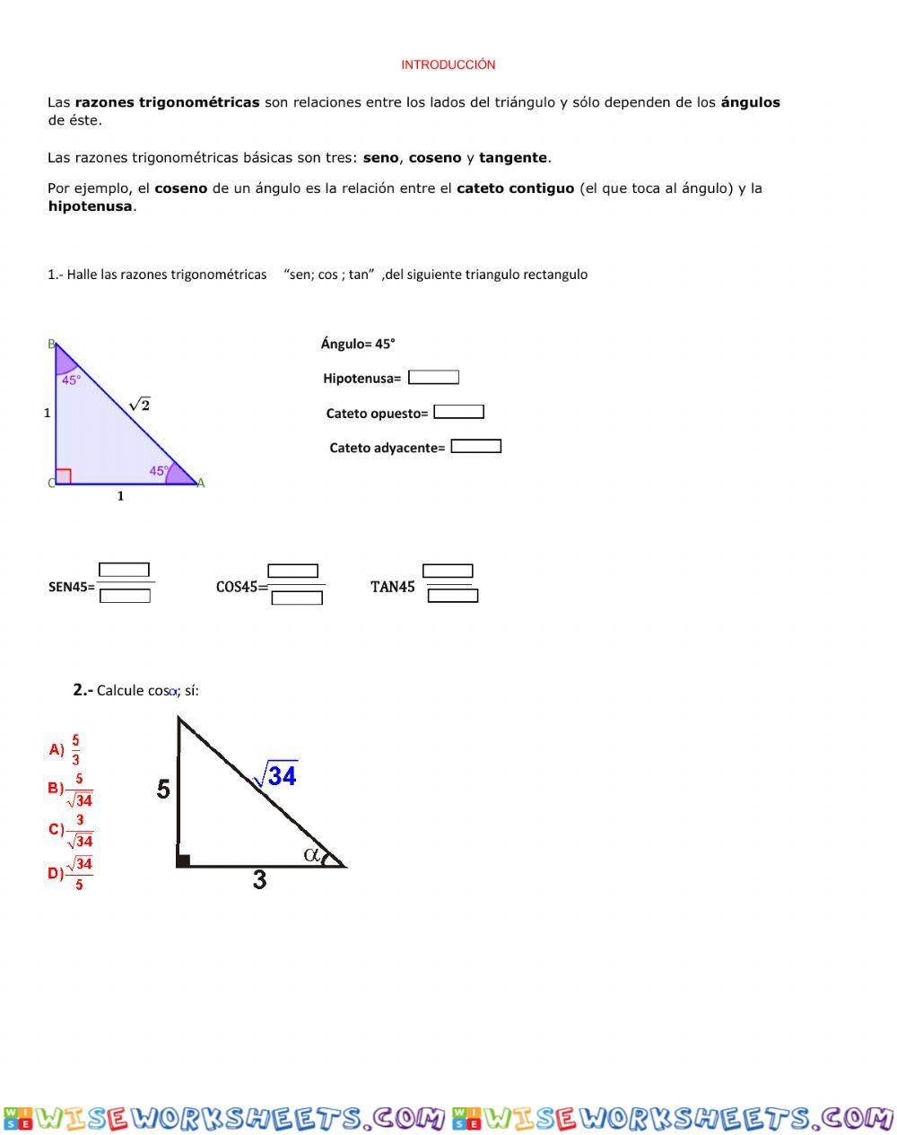 worksheet