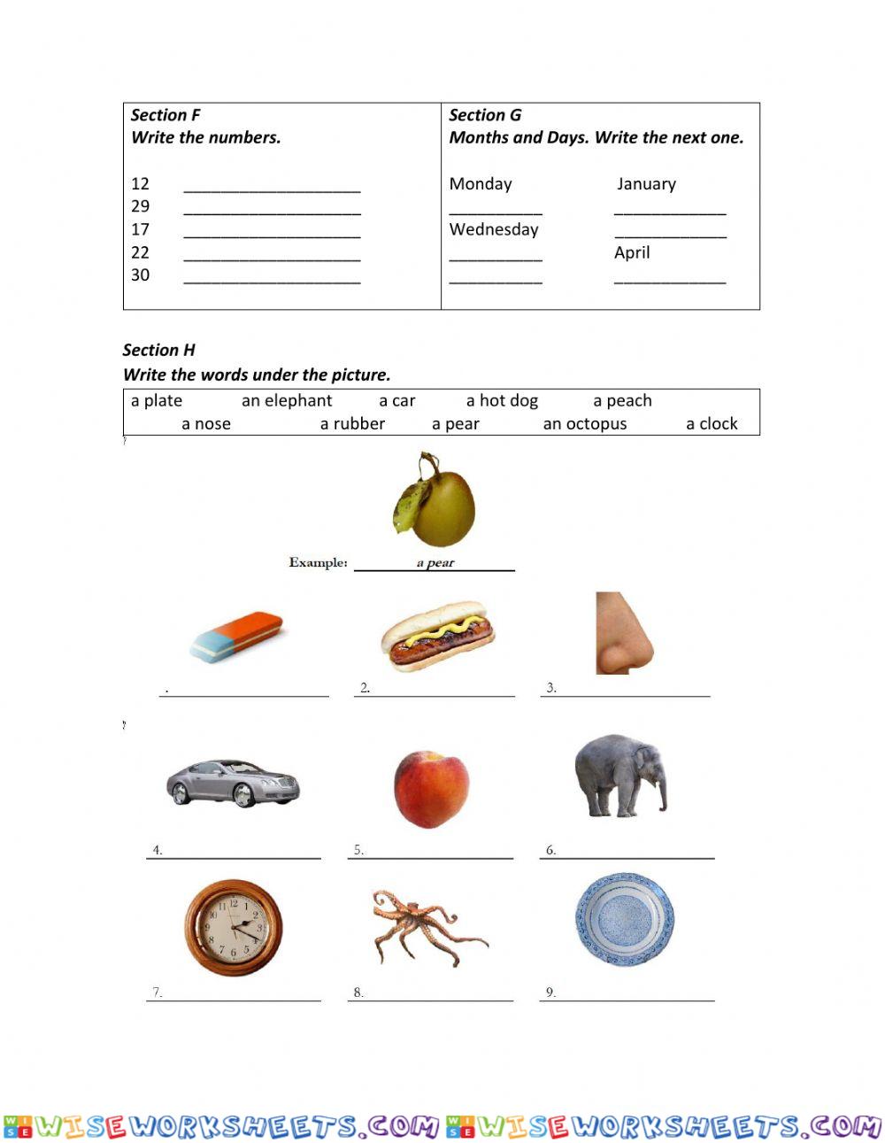 worksheet
