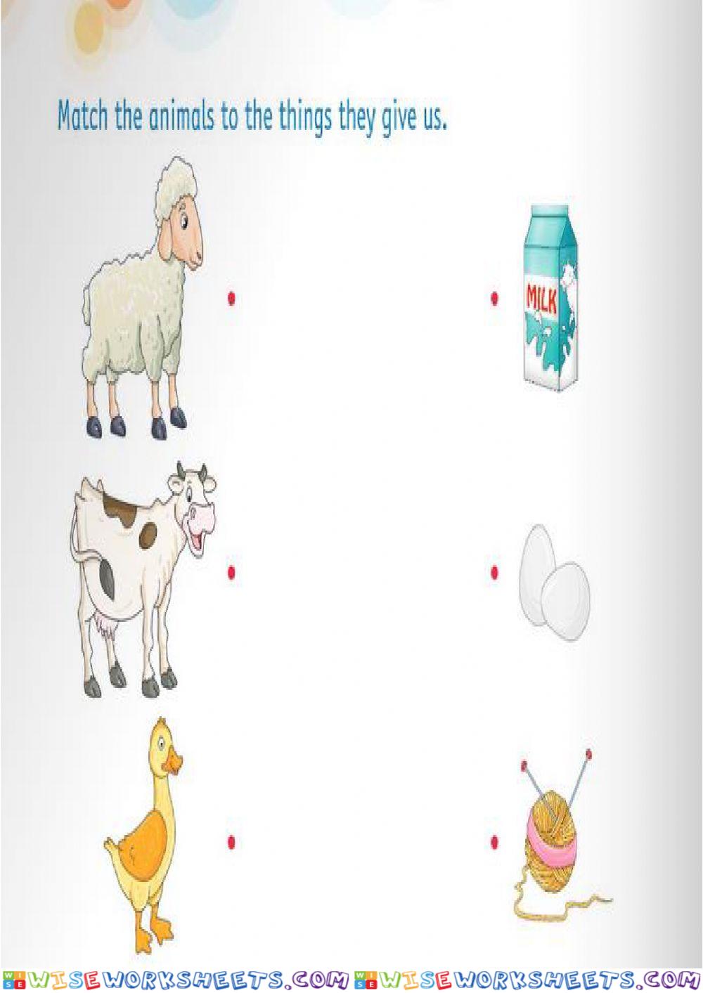 Animals and their products