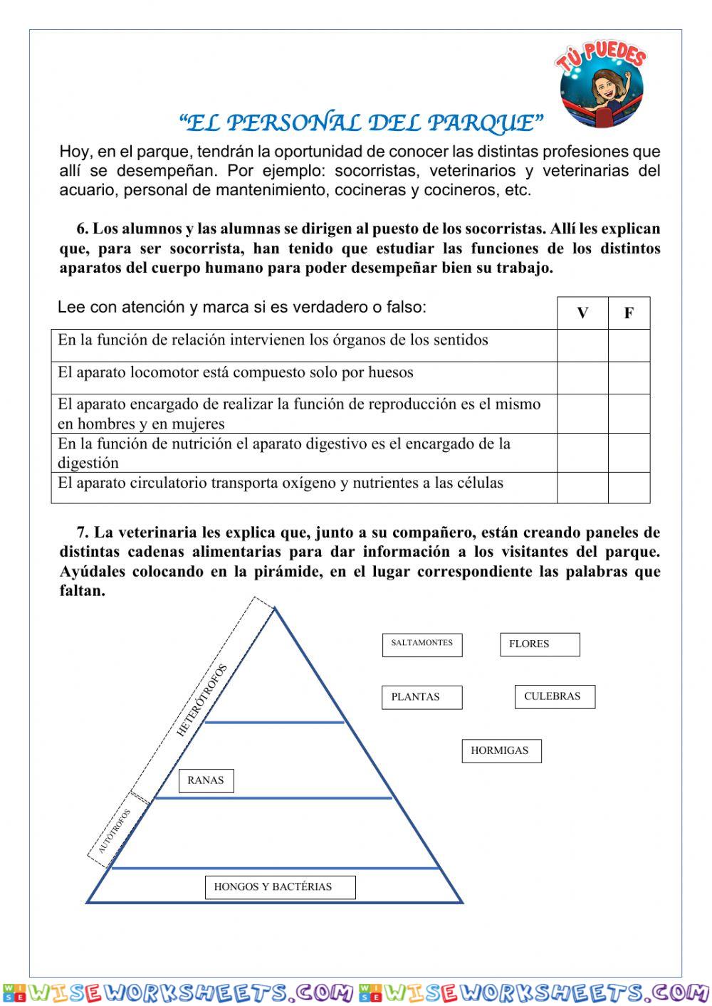 worksheet