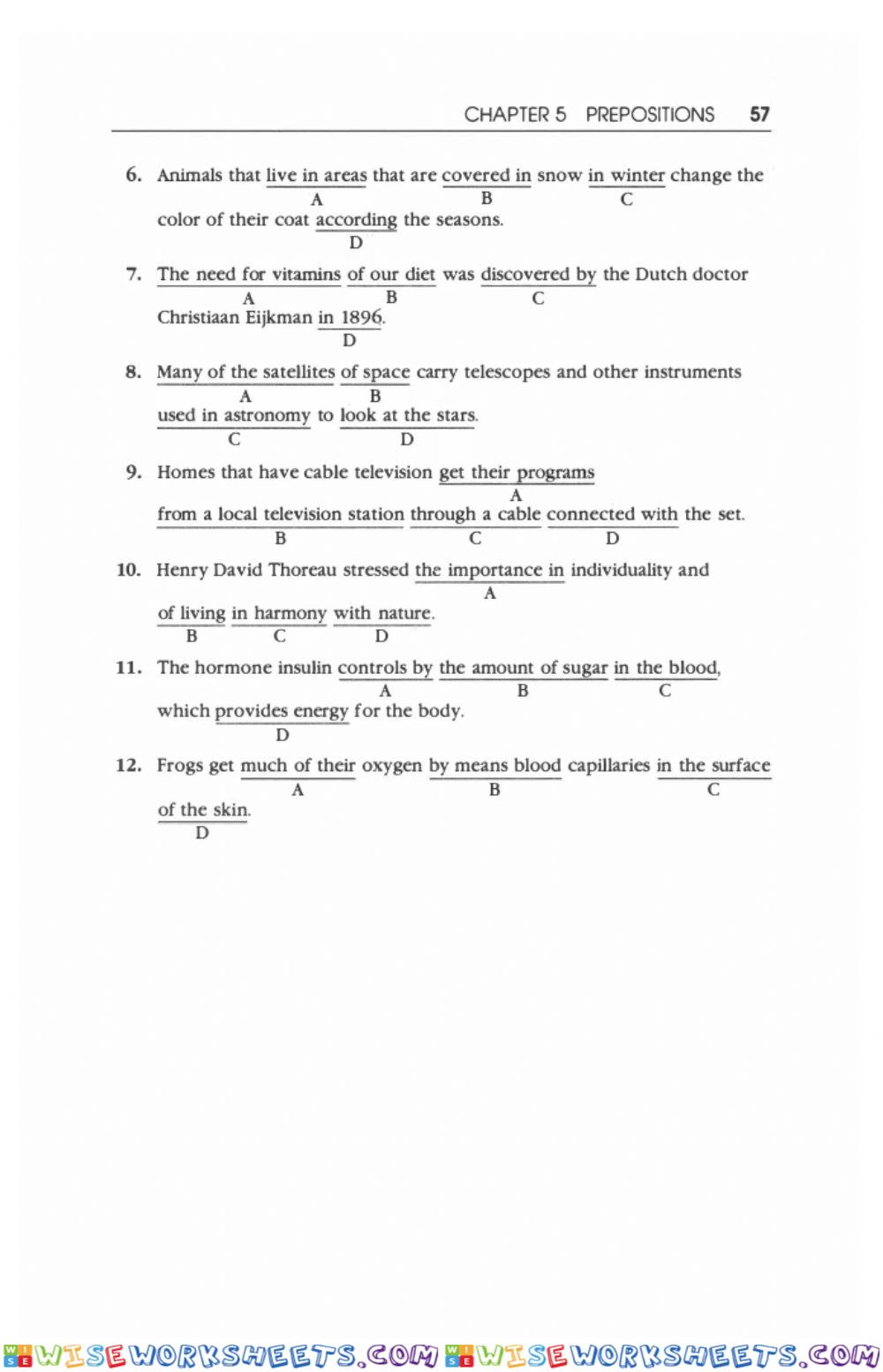 worksheet