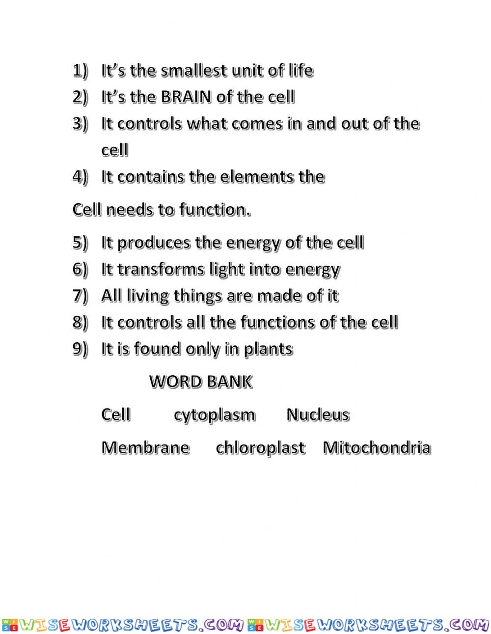 Cell