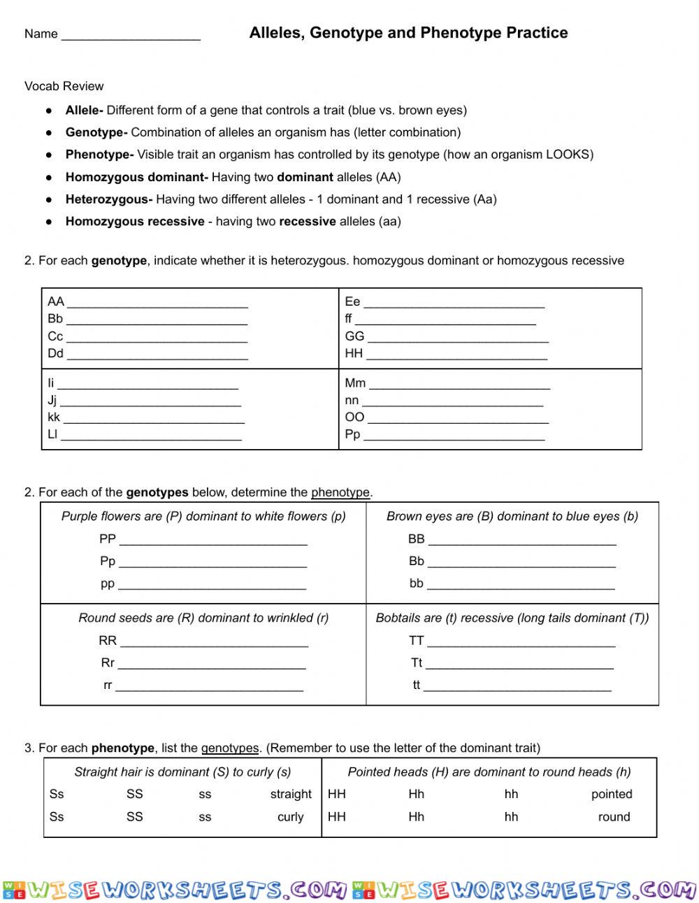 Genotype and Phenotypes