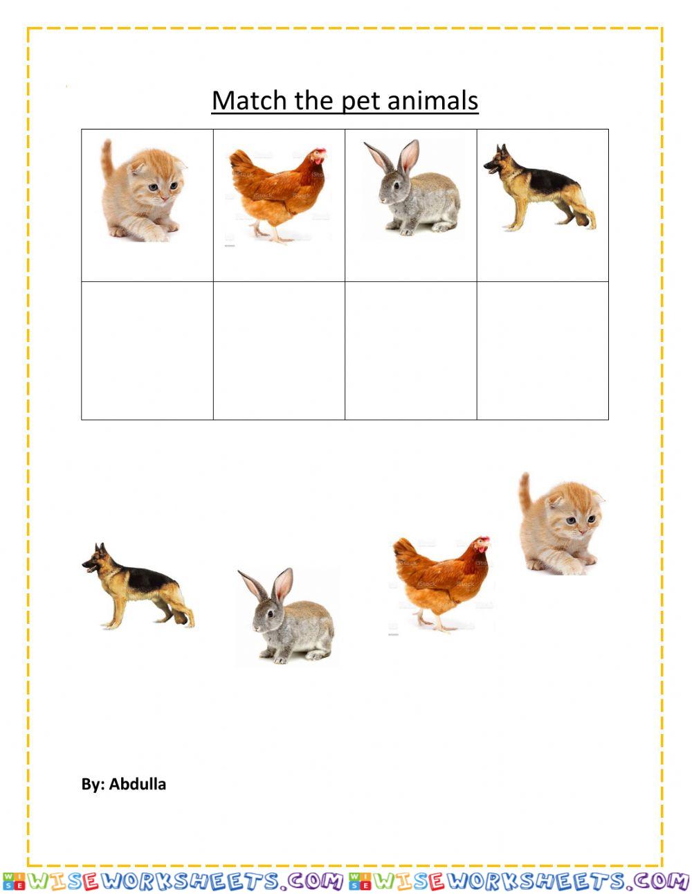 Match pet animals