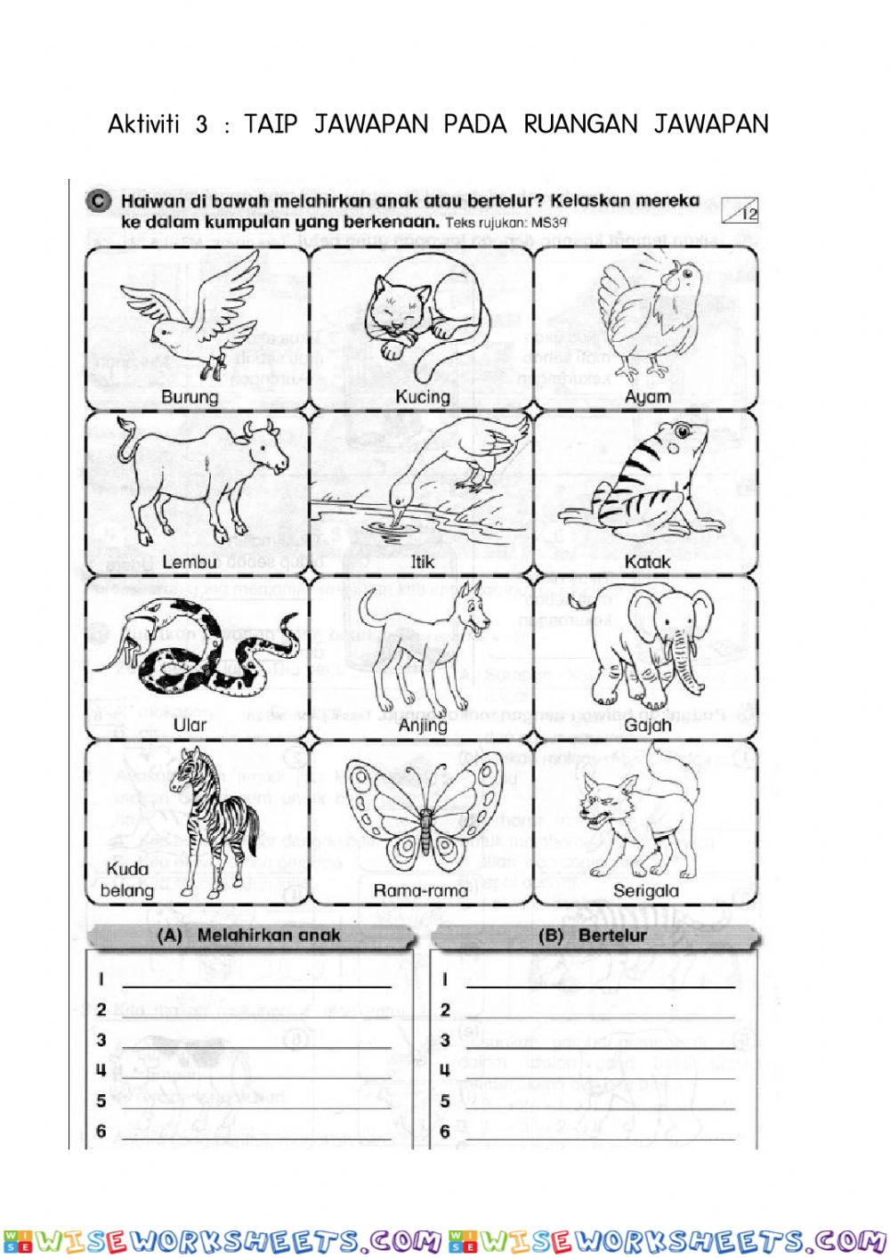 worksheet