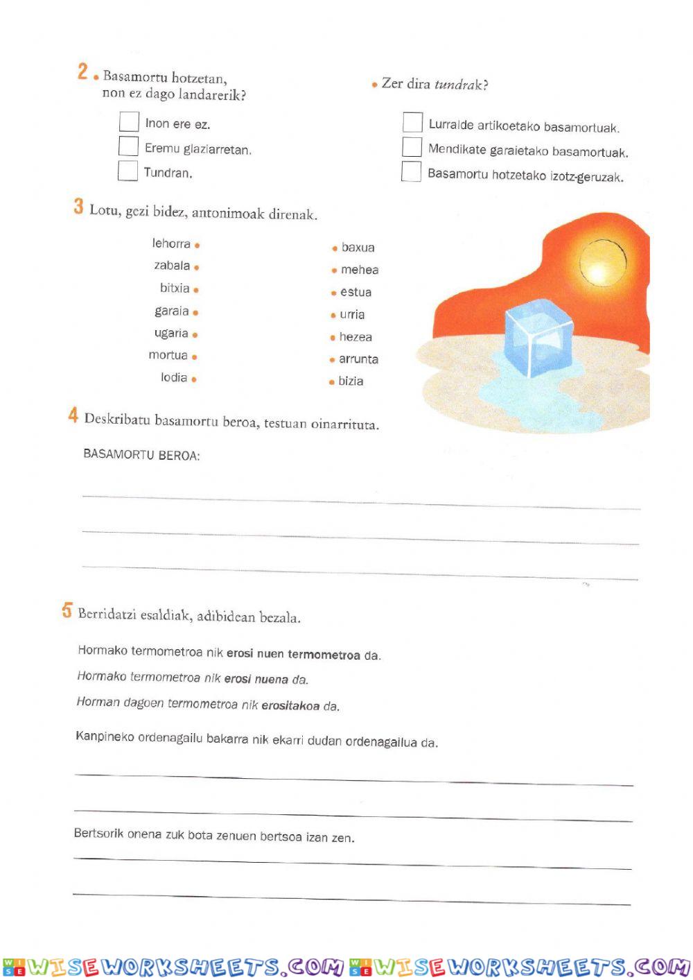 worksheet