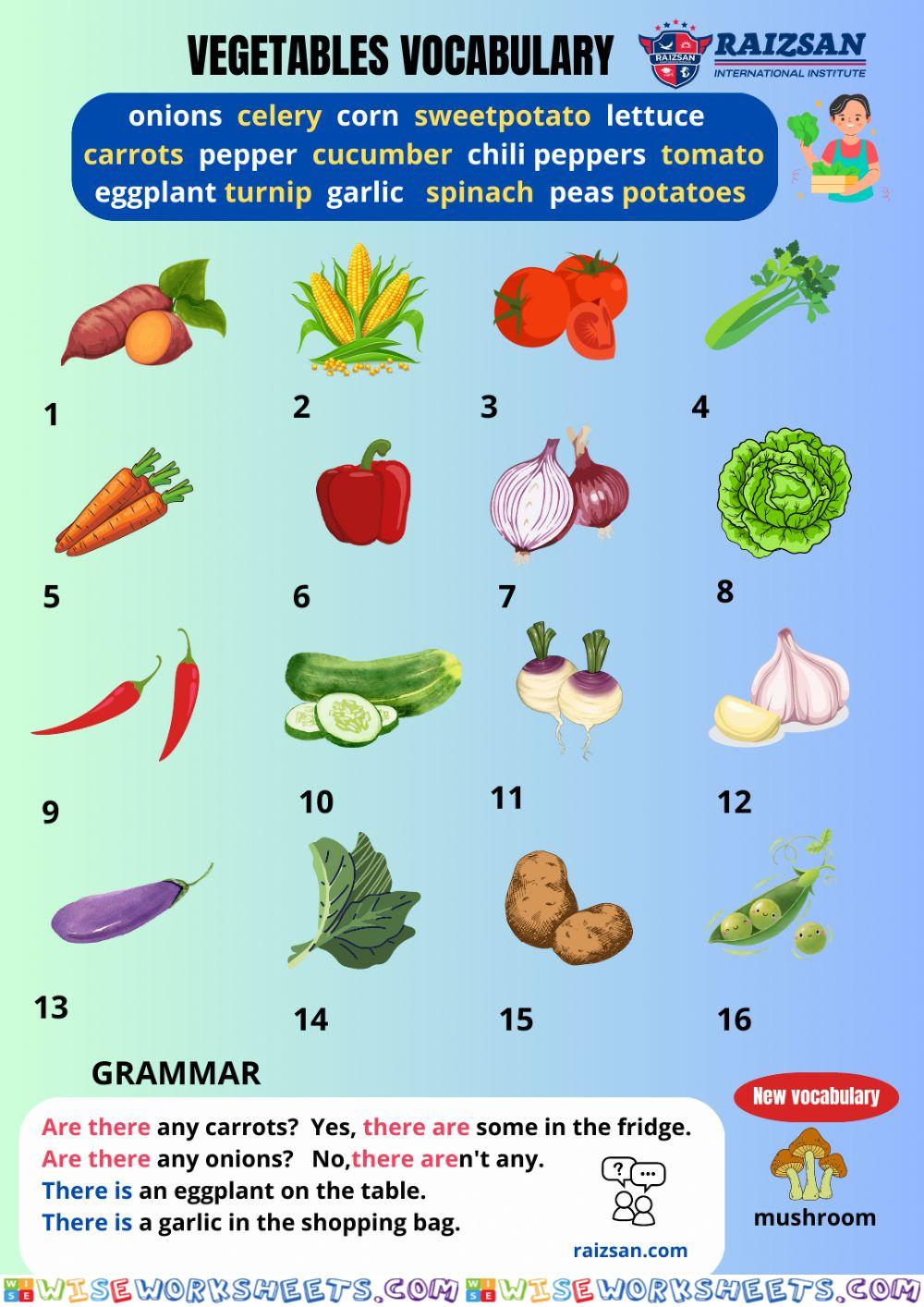 Vegetables vocabulary