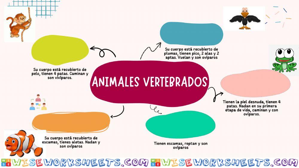 Visual thinking animales vertebrados