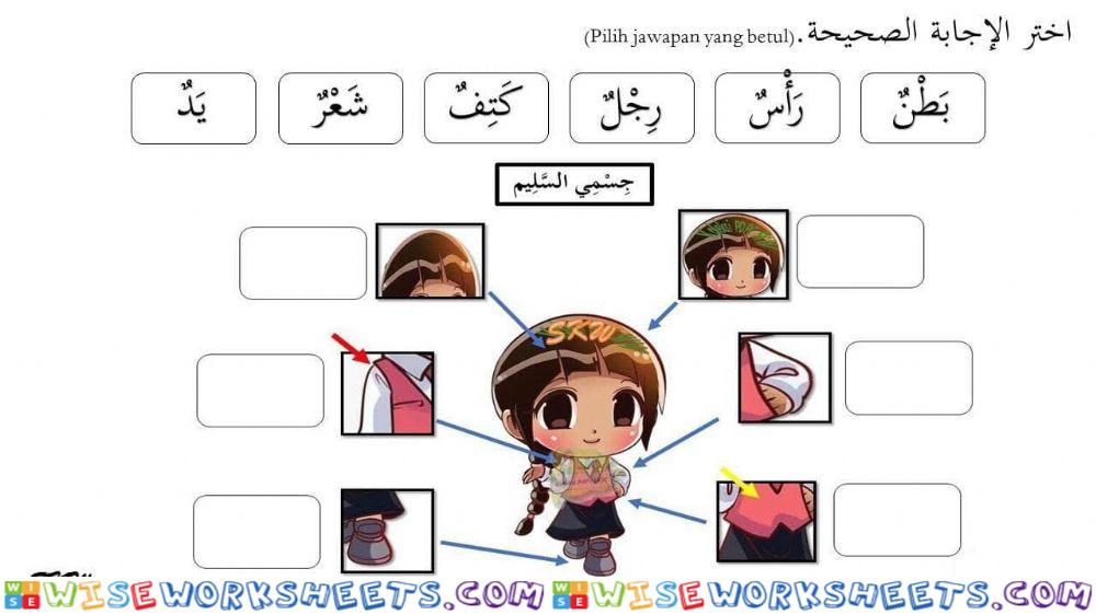 Bahasa Arab Tahun 2 جسم السليم