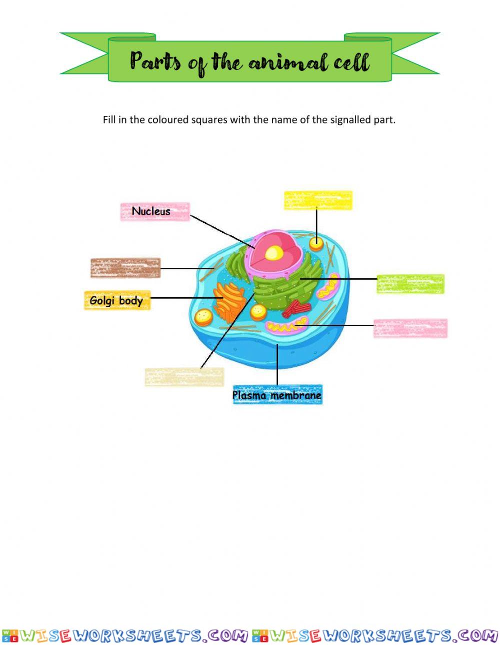Parts of the cell